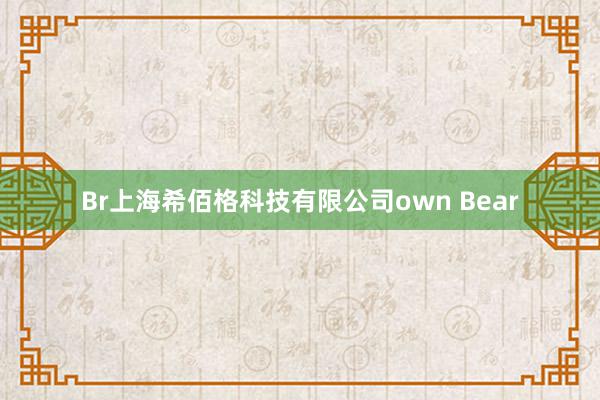 Br上海希佰格科技有限公司own Bear